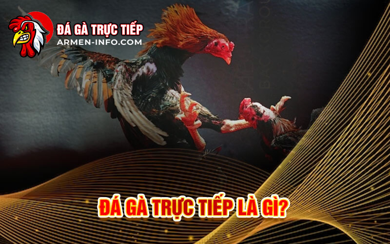 Lịch sử và nguồn gốc của Đá gà
